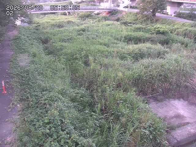 東郷川１2026/08/20 8:40:00