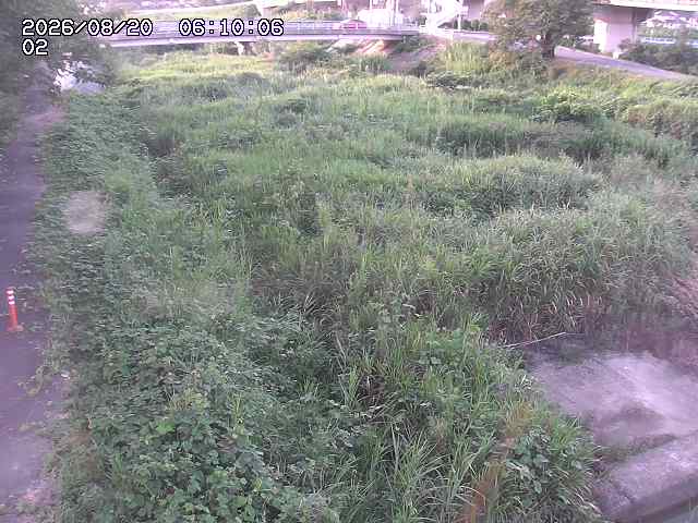 東郷川１2026/08/20 8:40:00