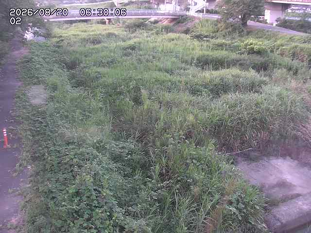 東郷川１2026/08/20 8:40:00