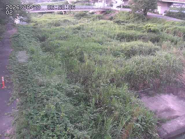 東郷川１2026/08/20 8:40:00