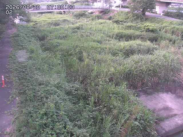 東郷川１2026/08/20 8:40:00
