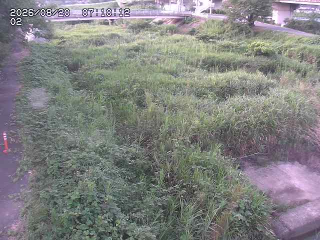 東郷川１2026/08/20 8:40:00