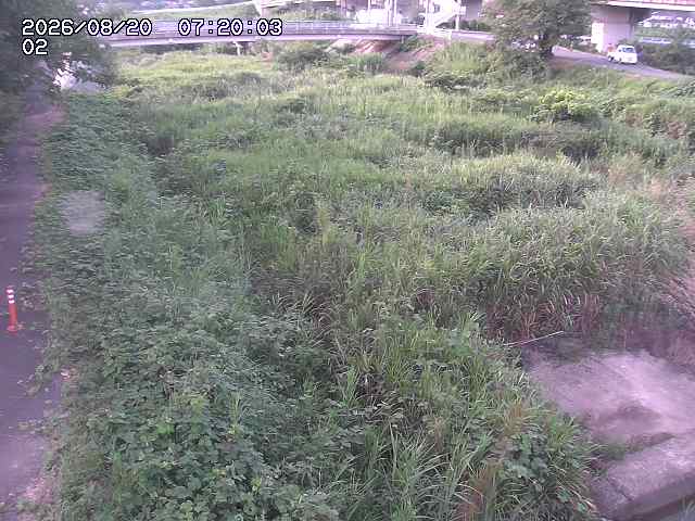 東郷川１2026/08/20 8:40:00