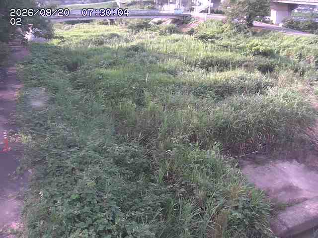 東郷川１2026/08/20 8:40:00