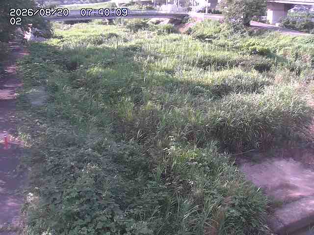 東郷川１2026/08/20 8:40:00