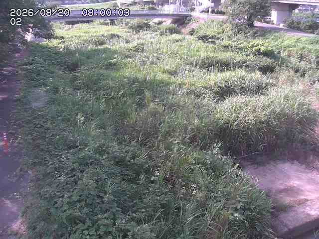 東郷川１2026/08/20 8:40:00