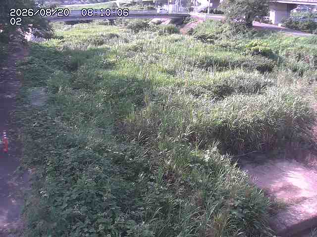 東郷川１2026/08/20 8:40:00