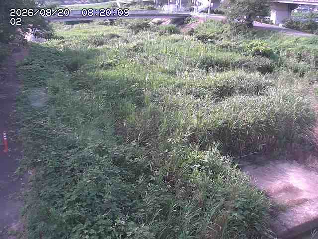 東郷川１2026/08/20 8:40:00