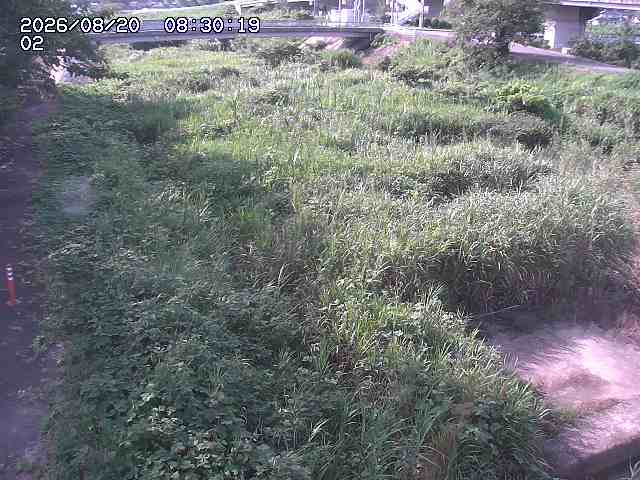 東郷川１2026/08/20 8:40:00