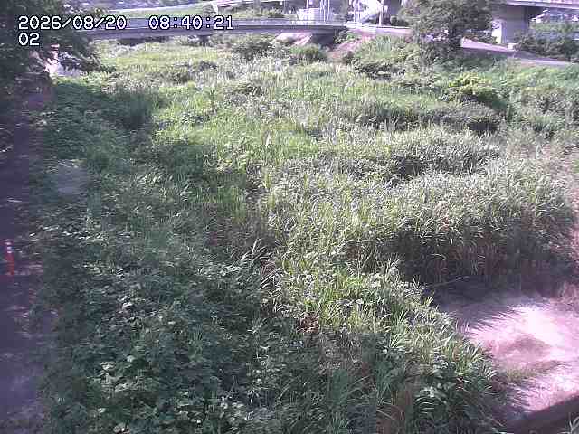 東郷川１2026/08/20 8:40:00