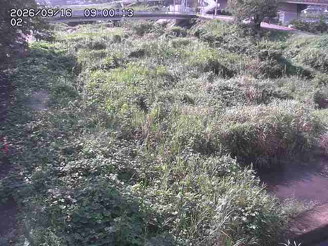 東郷川１2026/09/16 18:00:00