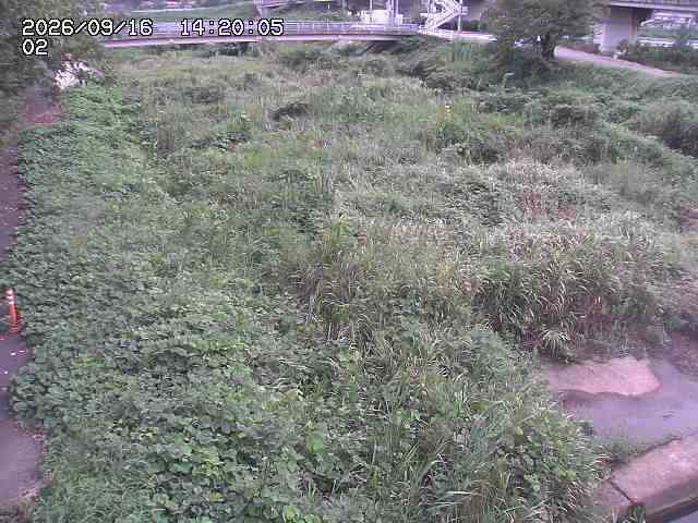 東郷川１2026/09/16 18:00:00