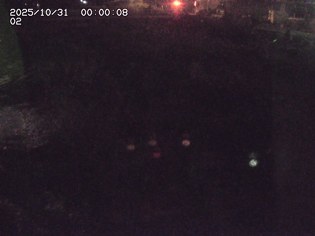 東郷川12025/10/31 23:50:00