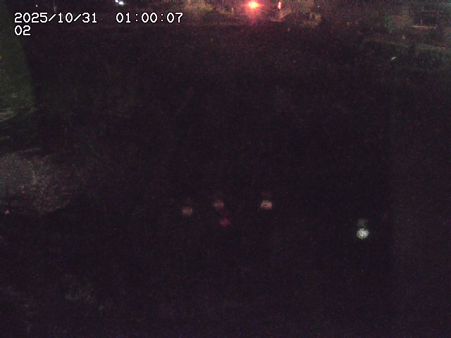 東郷川12025/10/31 23:50:00