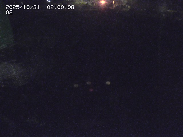 東郷川12025/10/31 23:50:00