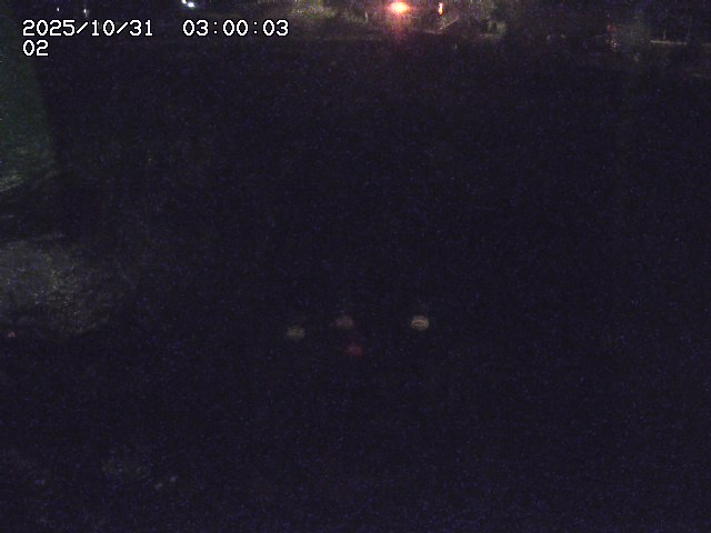 東郷川12025/10/31 23:50:00