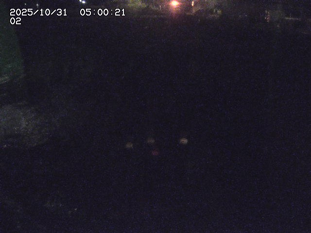 東郷川12025/10/31 23:50:00