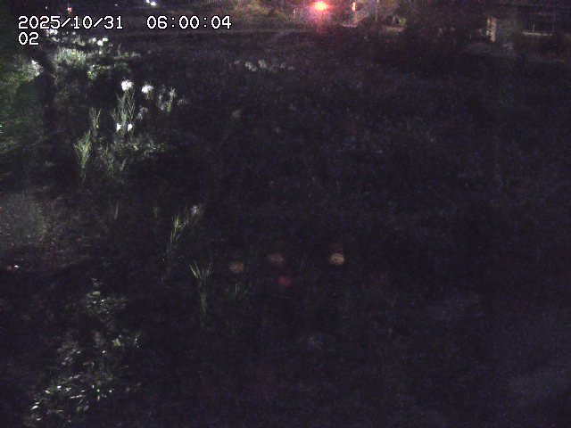 東郷川12025/10/31 23:50:00