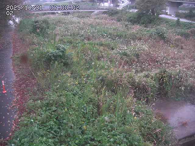 東郷川12025/10/31 23:50:00