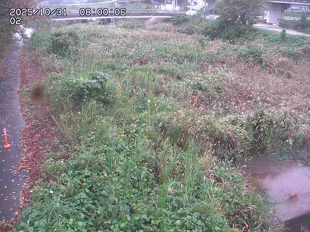 東郷川12025/10/31 23:50:00