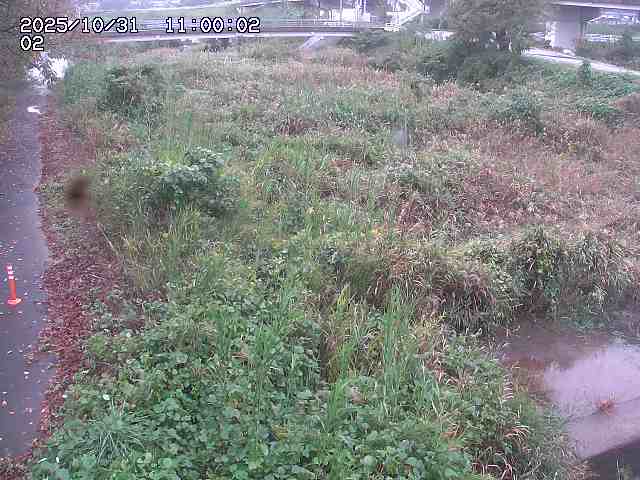 東郷川12025/10/31 23:50:00