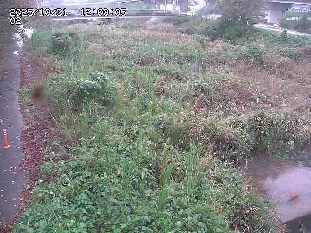 東郷川12025/10/31 23:50:00