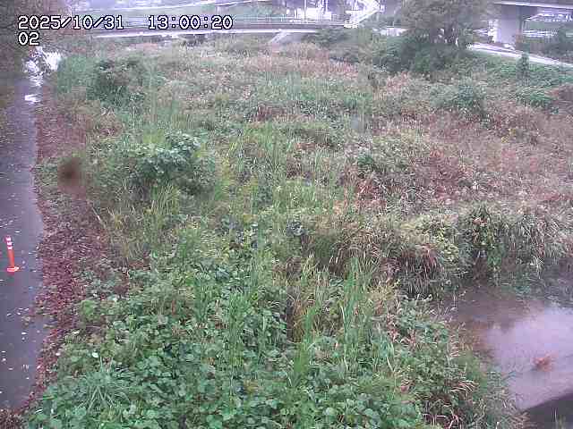 東郷川12025/10/31 23:50:00