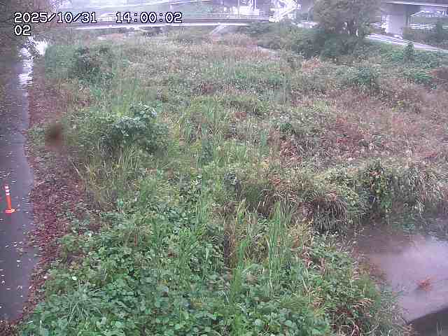 東郷川12025/10/31 23:50:00