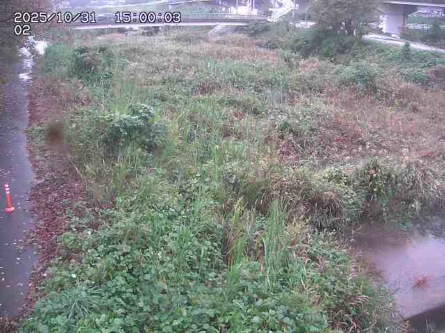 東郷川12025/10/31 23:50:00