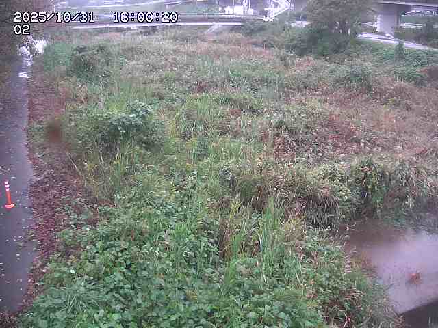 東郷川12025/10/31 23:50:00