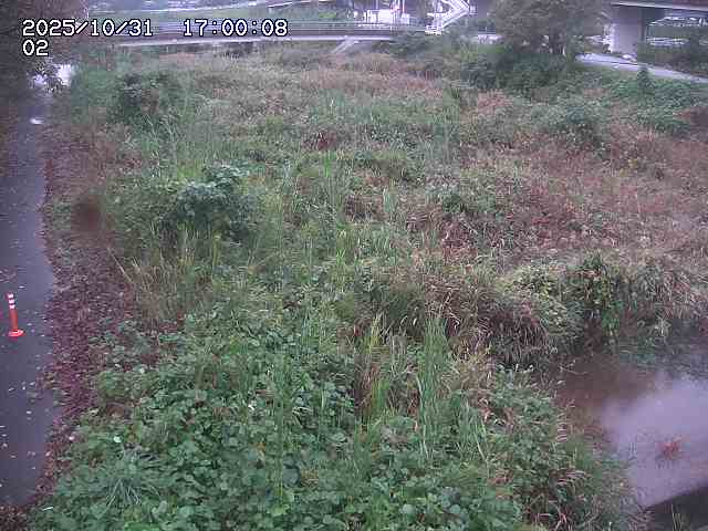 東郷川12025/10/31 23:50:00