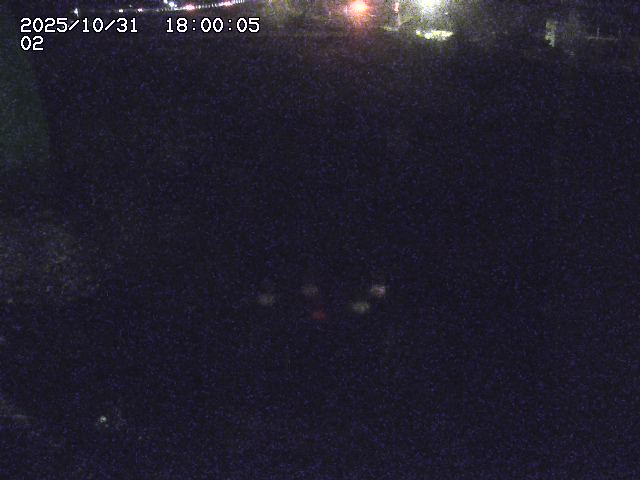 東郷川12025/10/31 23:50:00