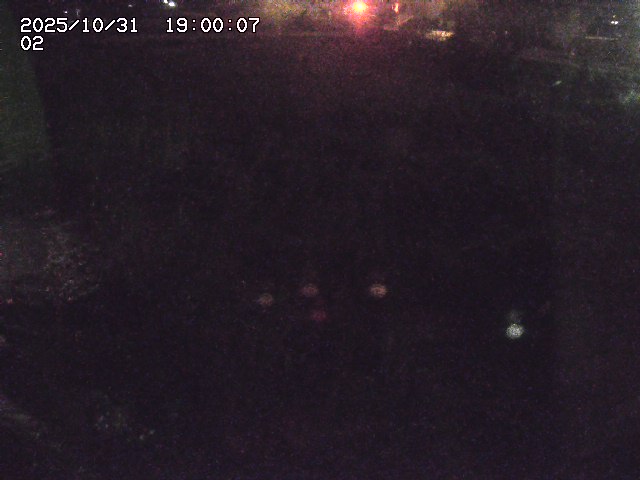 東郷川12025/10/31 23:50:00