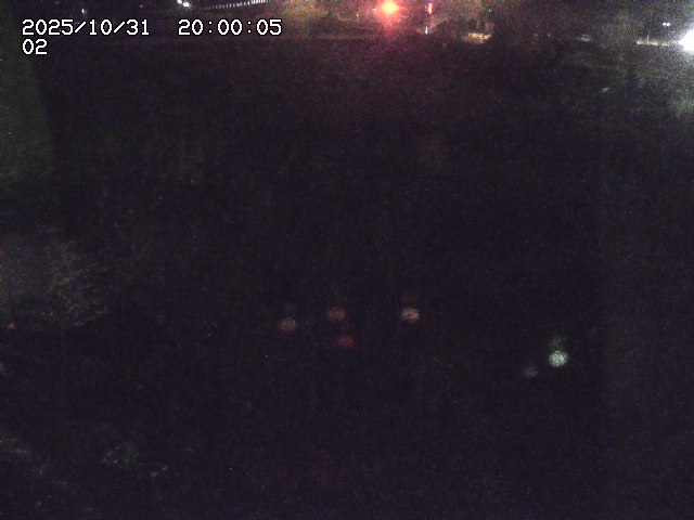 東郷川12025/10/31 23:50:00