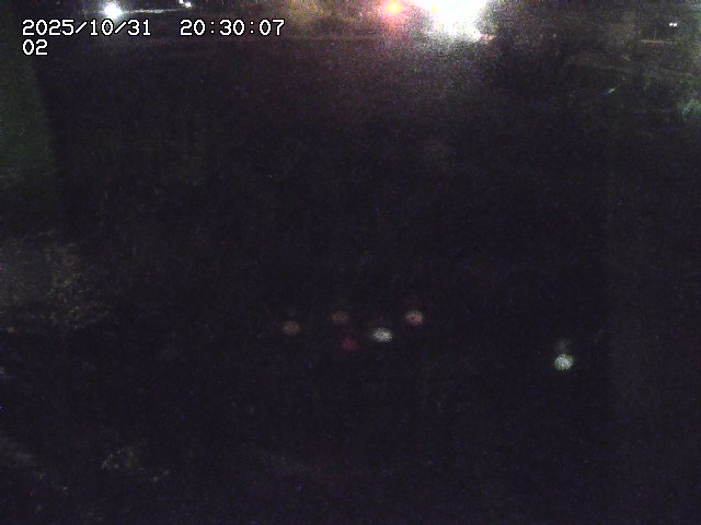 東郷川12025/10/31 23:50:00