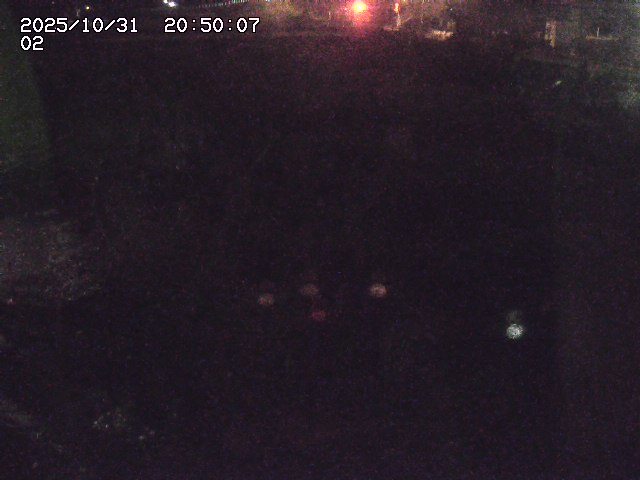 東郷川12025/10/31 23:50:00