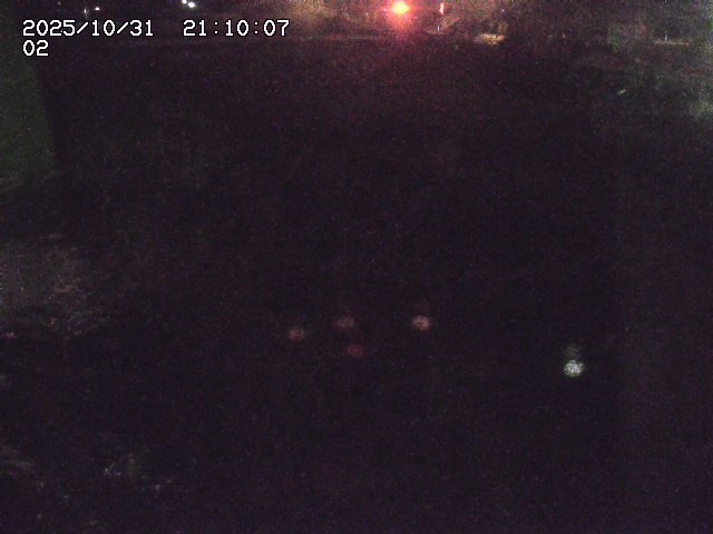 東郷川12025/10/31 23:50:00