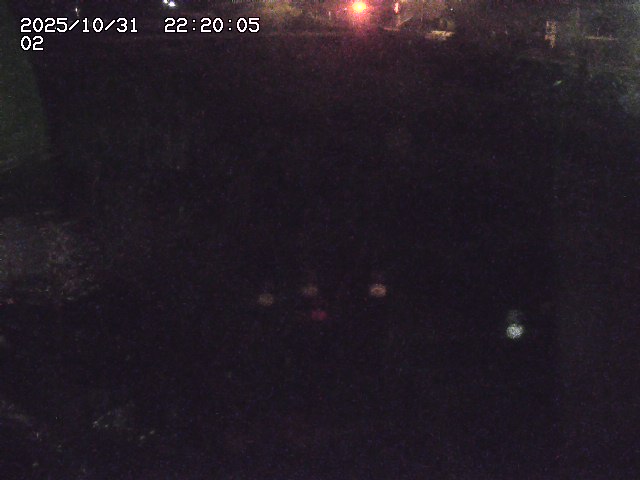 東郷川12025/10/31 23:50:00