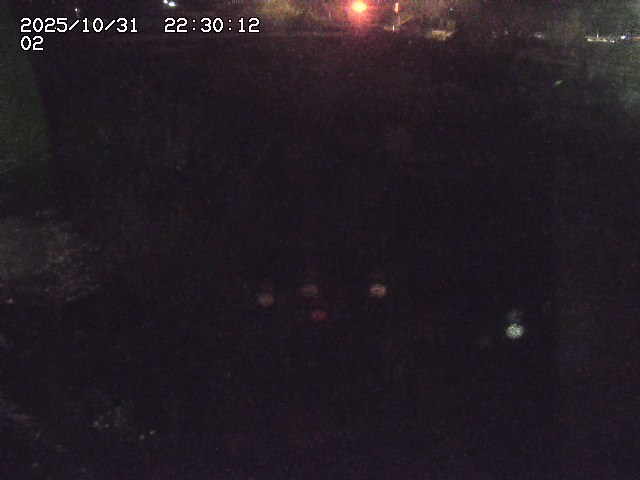 東郷川12025/10/31 23:50:00