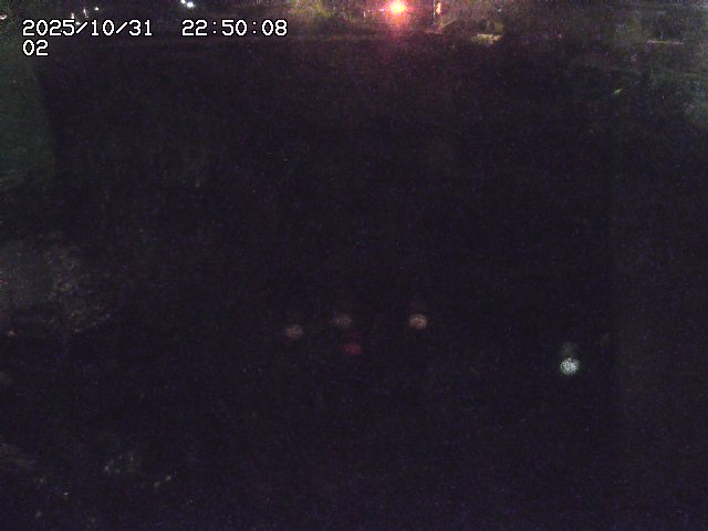 東郷川12025/10/31 23:50:00