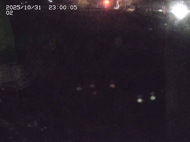 東郷川12025/10/31 23:50:00