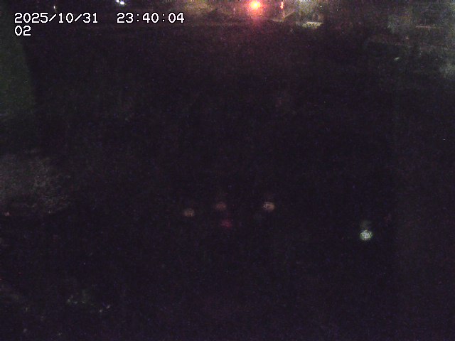 東郷川12025/10/31 23:50:00