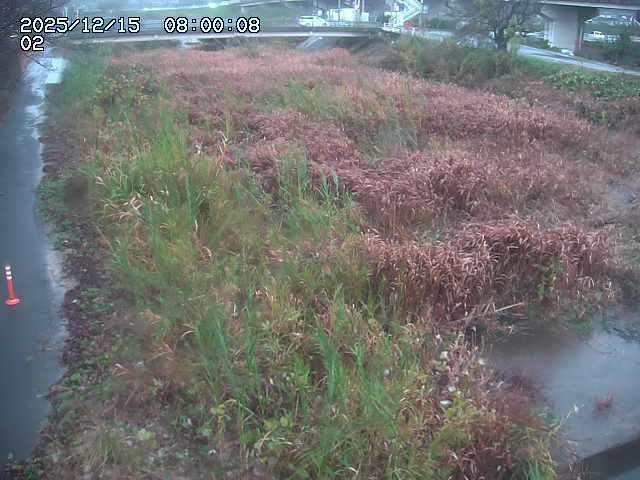 東郷川１2025/12/16 8:50:00