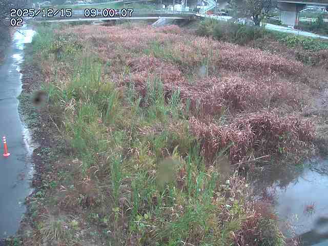 東郷川１2025/12/16 8:50:00