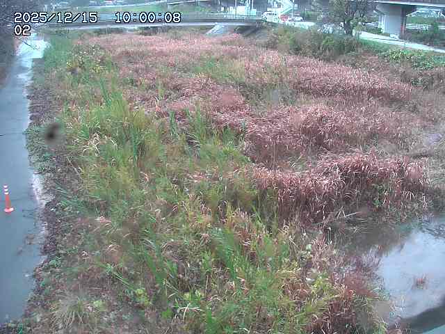 東郷川１2025/12/16 8:50:00