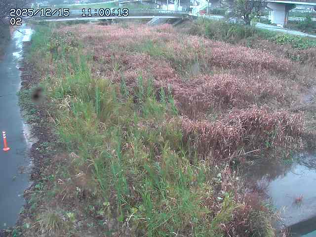 東郷川１2025/12/16 8:50:00