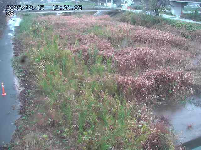 東郷川１2025/12/16 8:50:00