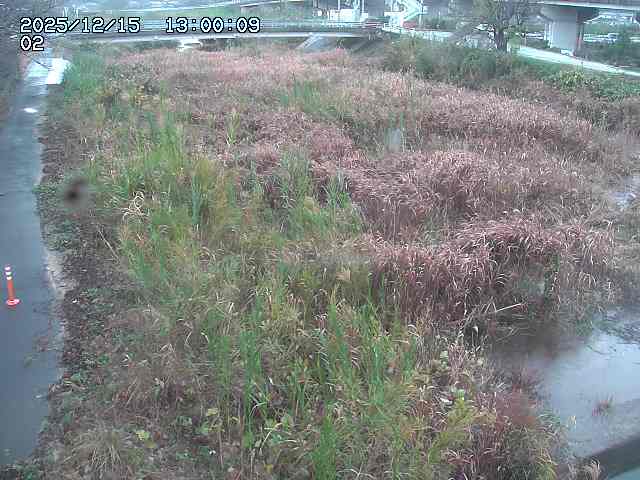 東郷川１2025/12/16 8:50:00