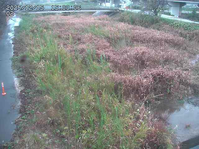 東郷川１2025/12/16 8:50:00