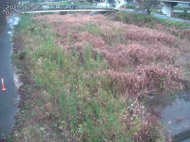 東郷川１2025/12/16 8:50:00